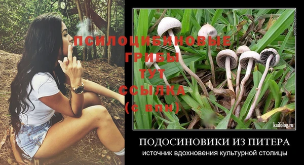 соль курить ск Армянск