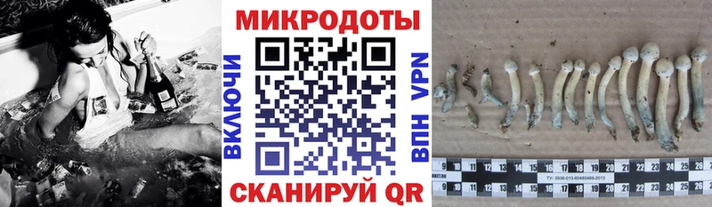 даркнет сайт  Вязьма  Псилоцибиновые грибы Psilocybine cubensis 